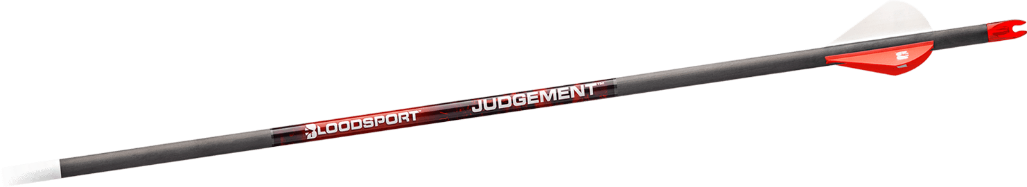 Judgement™