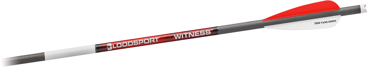 Blood Sport Witness Crossbow Arrow Bolts - Thumbnail 3